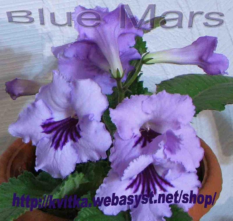Blue Mars
