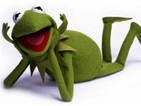 album_pic.php?pic_id=31413