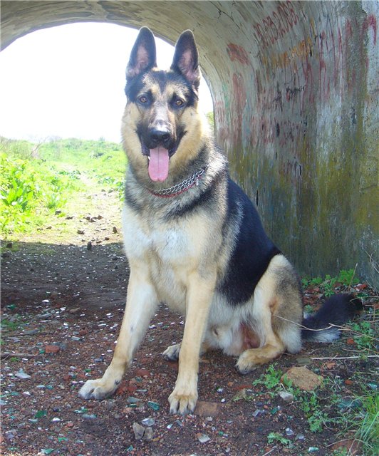 �������