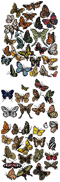 63 Butterflies.jpg