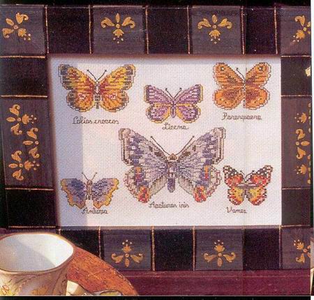 бабочки-коллекция3.jpg