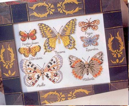 бабочки-коллекция4.jpg