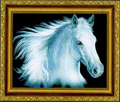 белый конь.jpg
