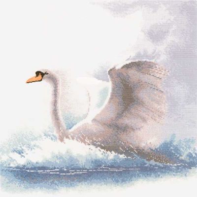 лебедь на воде.jpg