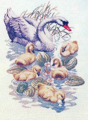 лебедушка с малышами.jpg