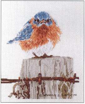Bucilla-Mad_blue_bird.jpg