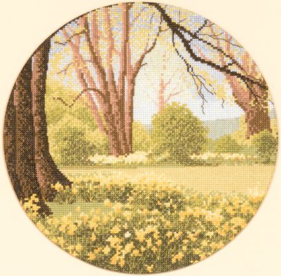 Daffodil Wood.jpg
