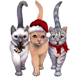 kitty-cats-presents-animated.gif