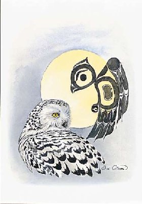 331 - Snowy Owl.jpg