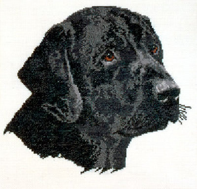 Black Labrador Anchor.jpg