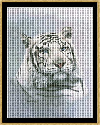 MM-19 White Tiger.jpg