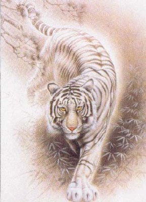 Oriental Tiger.jpg