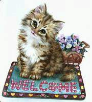 Welcome_Kitty.jpg