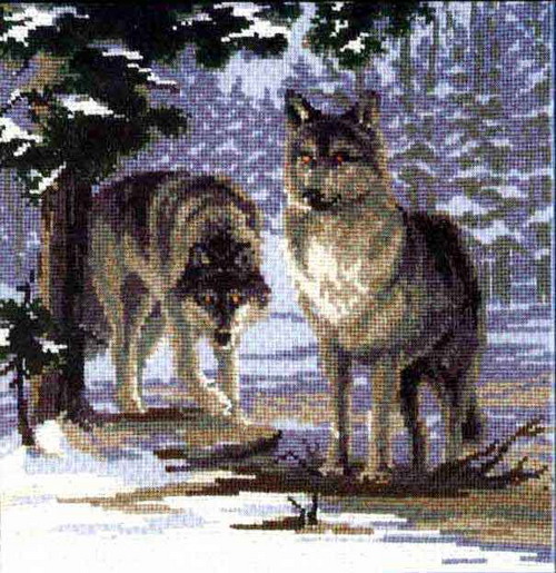 wolf-pic.jpg