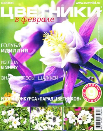 �� 2-2006
