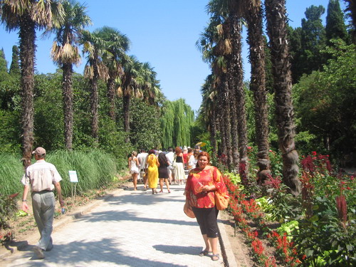 ���� 2007
