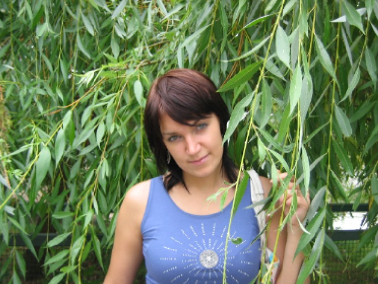 2006���