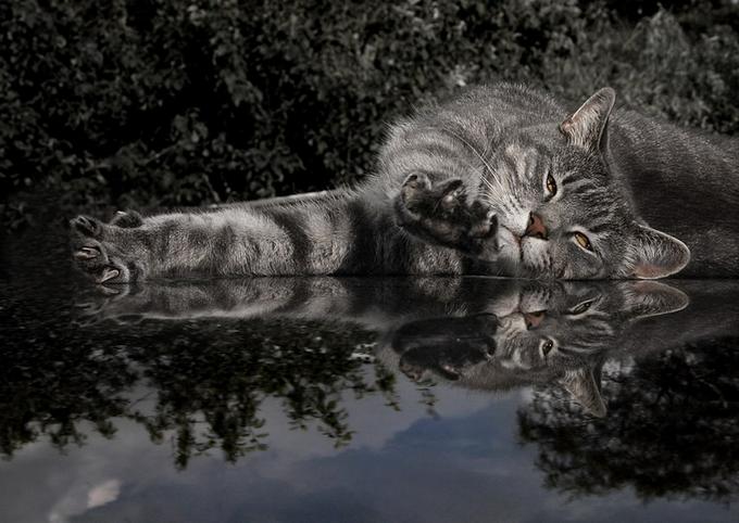 ����