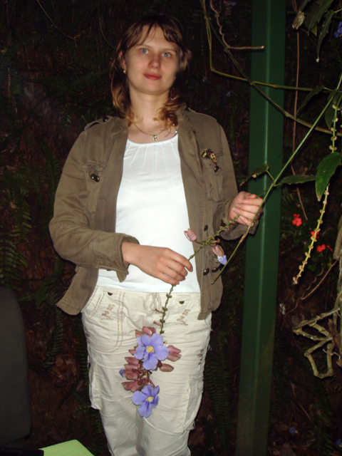 ������� 2008