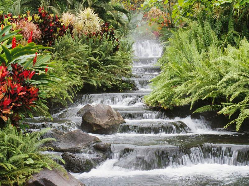 nature