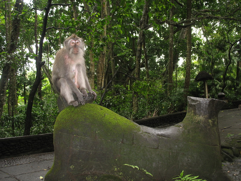 Bali