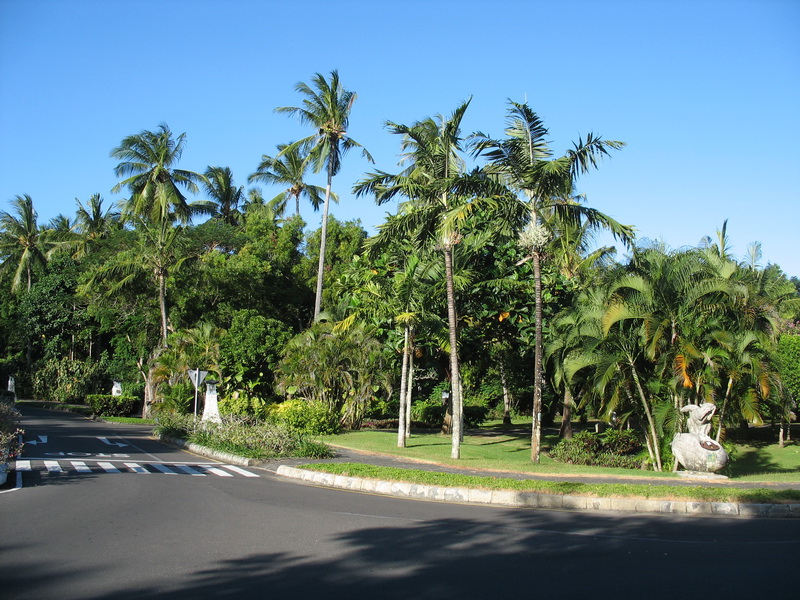 Bali