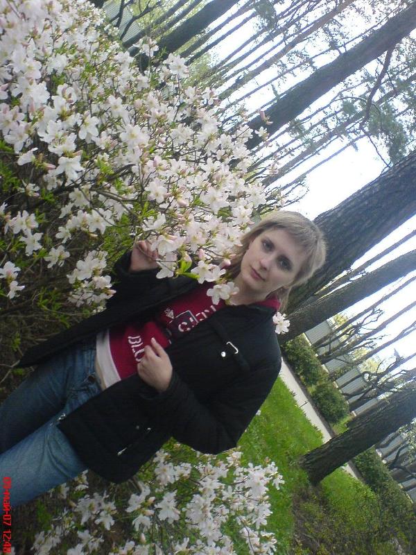 hely