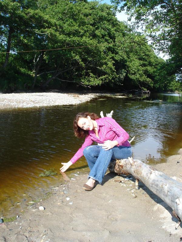 ���� 2008.