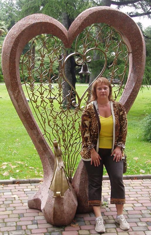 ���� 2008 �