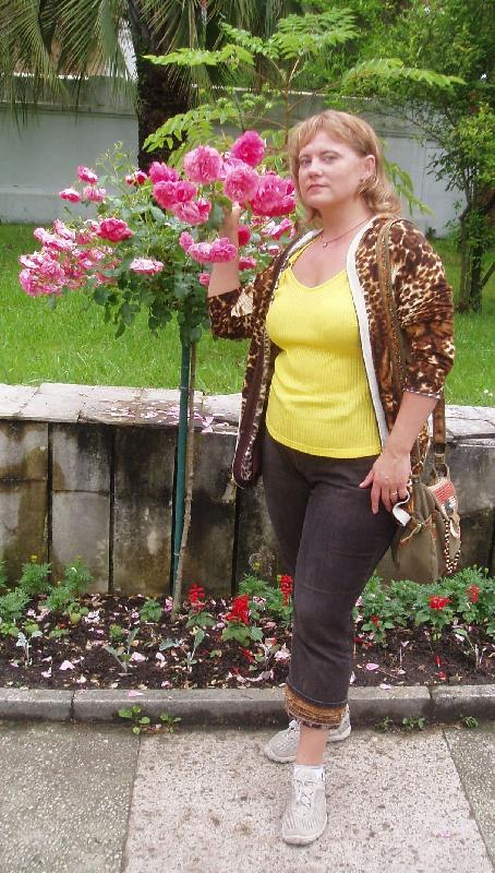 ���� 2008 �