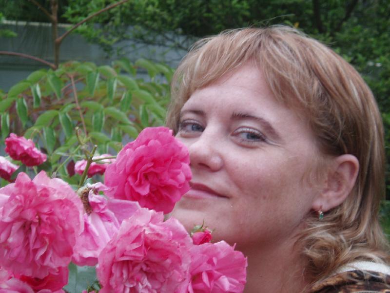 ���� 2008 �
