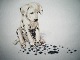 �����