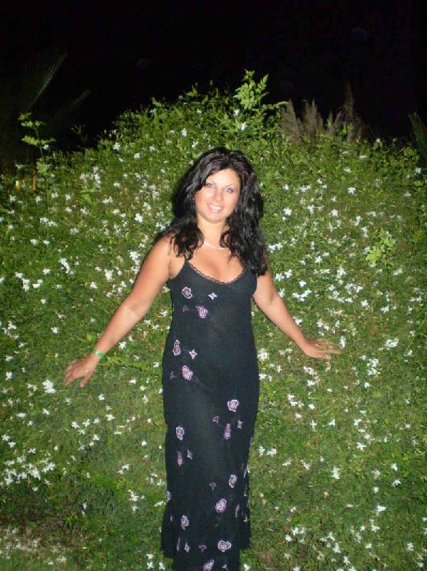 ������ 2008