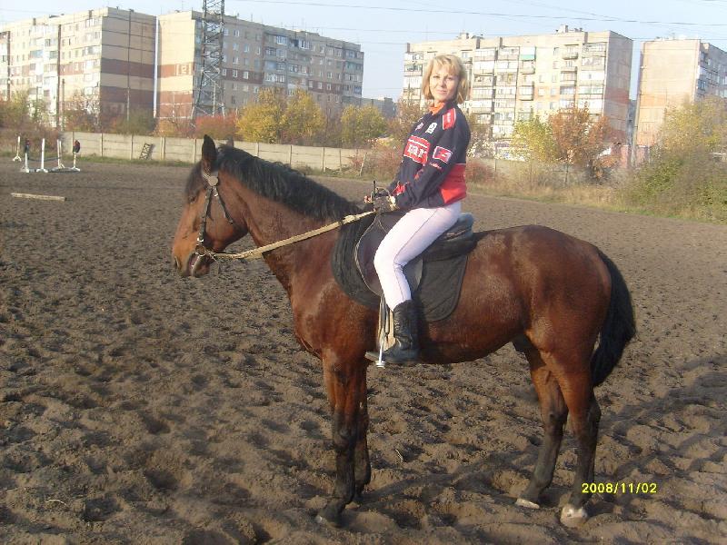 02 ������ 2008�.