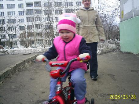 ������ 2006