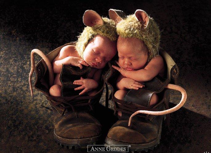 Anne Geddes