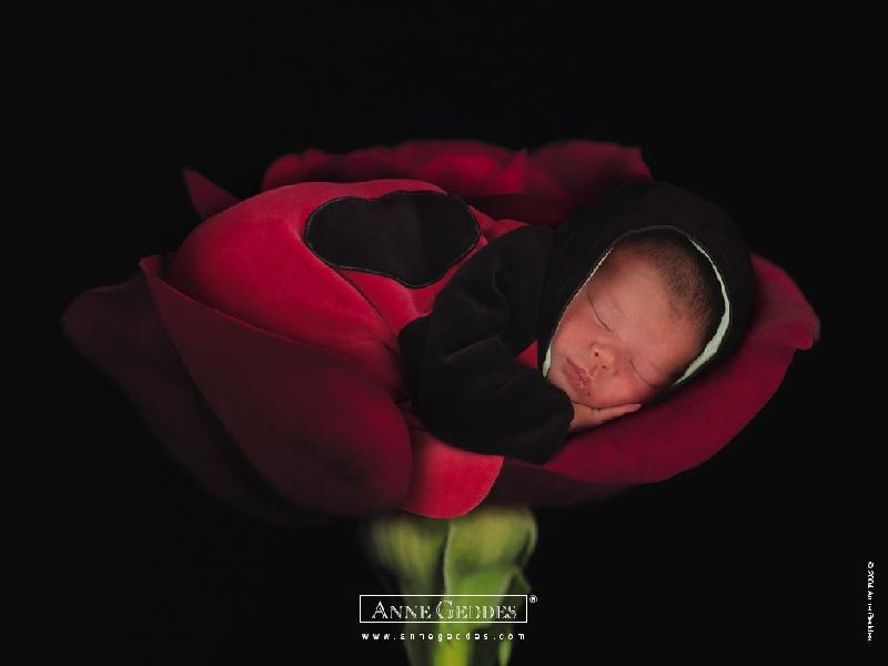 Anne Geddes