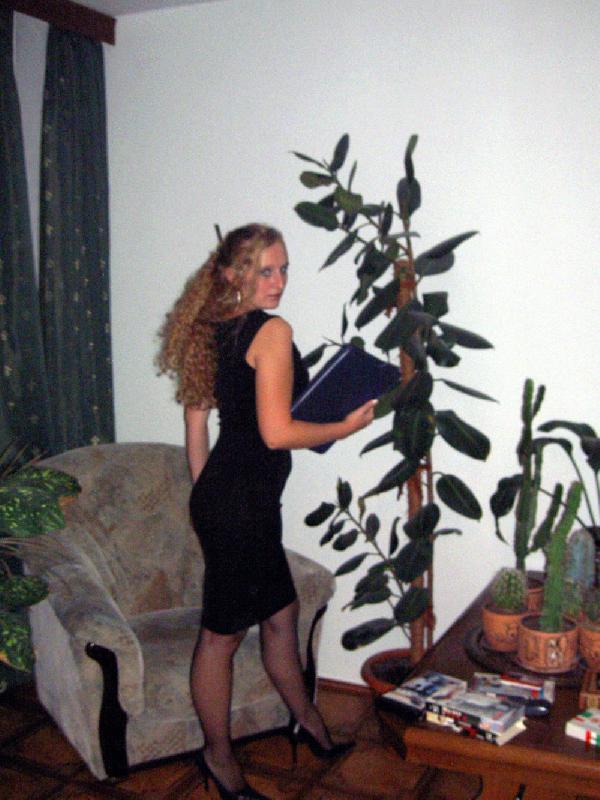 2005 ���