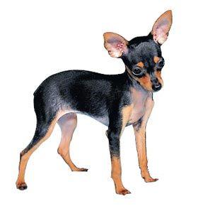 ���-������