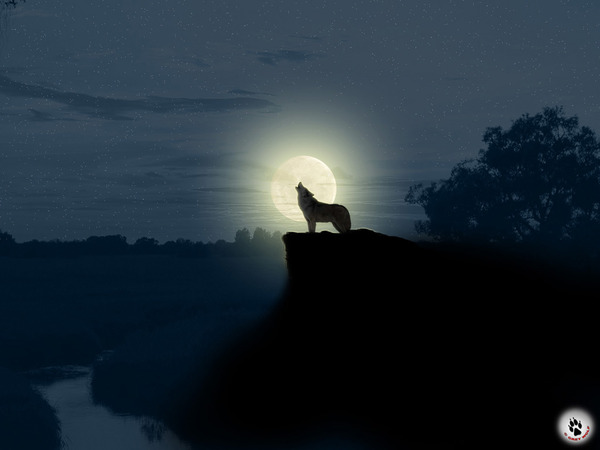 alone