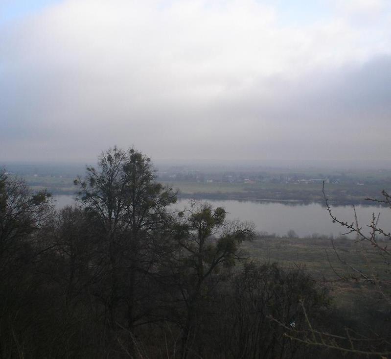 Wisla