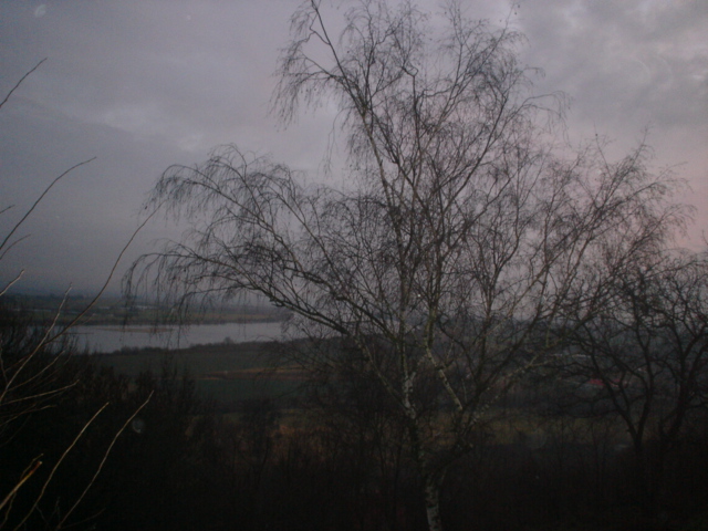Wisla