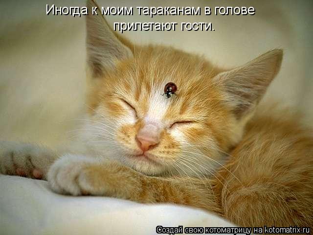 �����