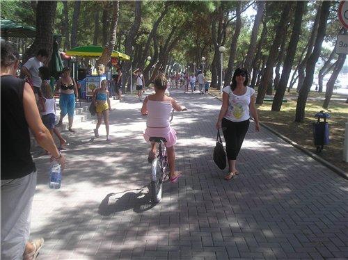 � ����� 2008 ����