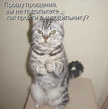 �����