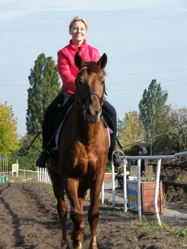 17 ������� 2010