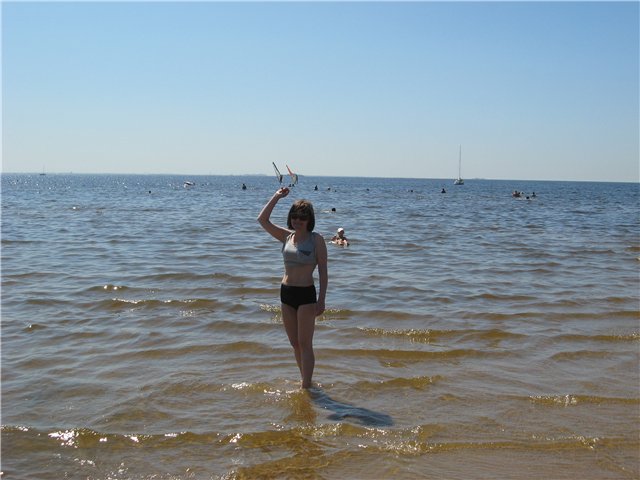 ������ �� ������� 2010