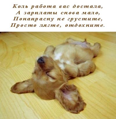 ������