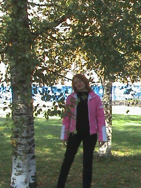 ����� 2010