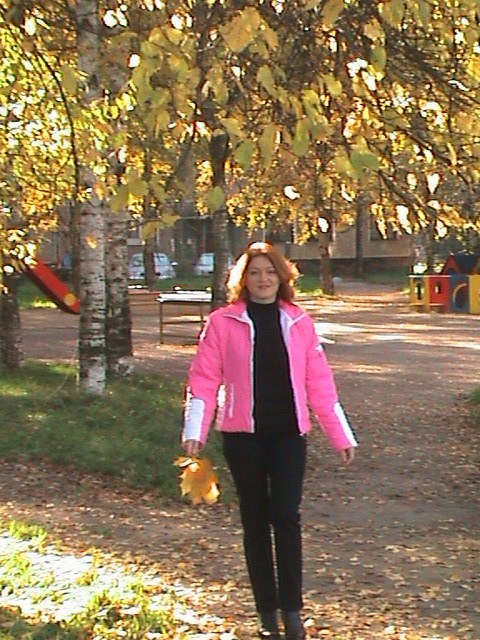 ����� 2010